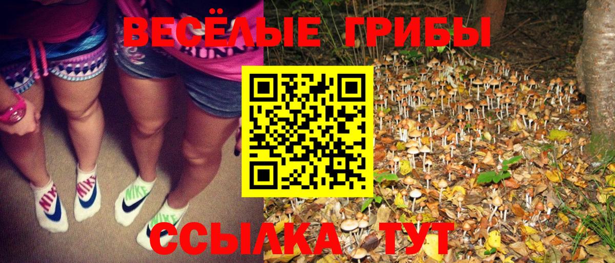 Галлюциногенные грибы ЛСД  Вход с VPN  Мценск 