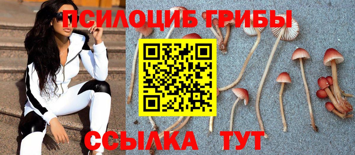 Псилоцибиновые грибы мицелий Мценск